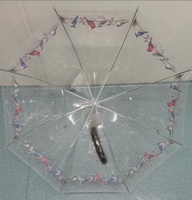 El TUV POE claro abierto automático embroma el paraguas compacto el 100cm