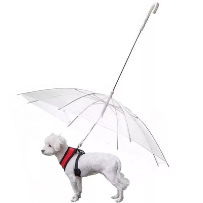 Paraguas transparentes para los perros para evitar que se mojen