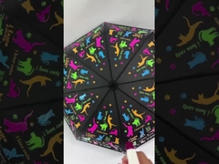 Un paraguas creativo