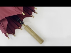 Paraguas de la promoción